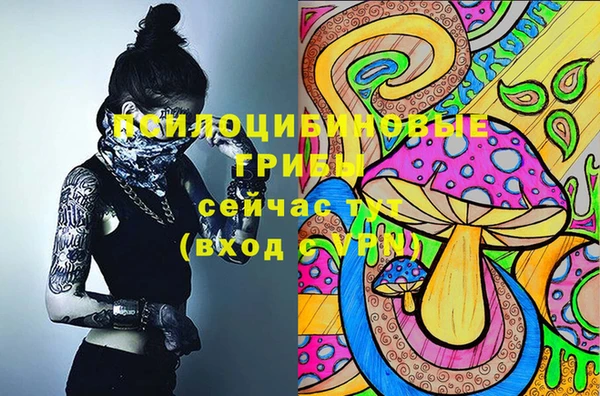 метадон Заволжье