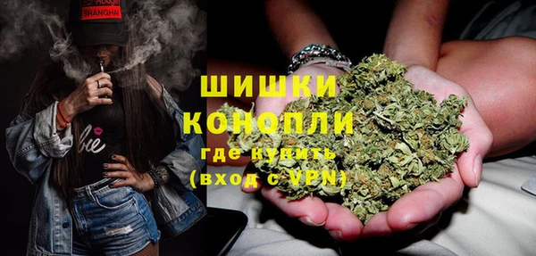 спайс Алексин